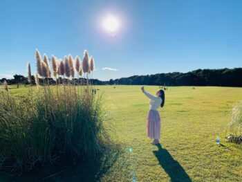 楽しいシャム猫さん　茨城県鹿嶋市・神栖市