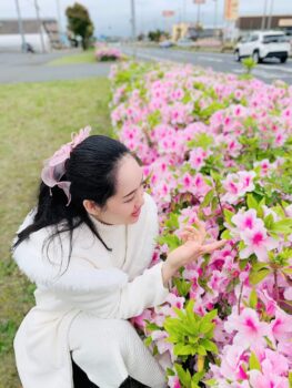 国道124号・鹿嶋市のさつきがきれい